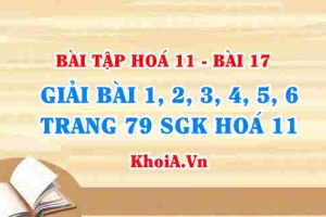 Bài tập Silic, hợp chất của Silic: Giải bài tập 1, 2, 3, 4, 5, 6 trang 79 SGK Hoá 11 bài 17